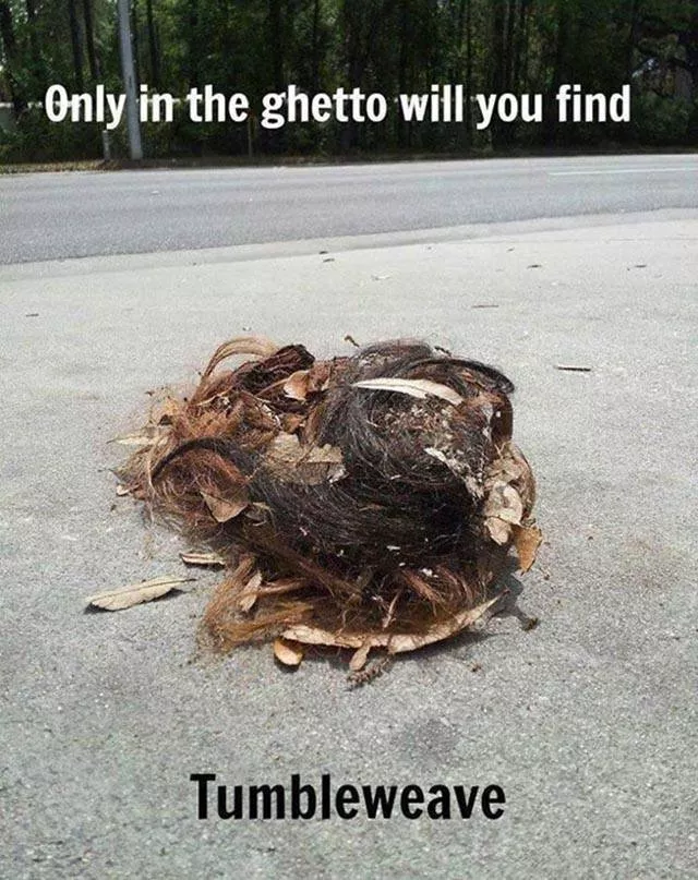 Welcome to the ghetto reality and stereotypes - #63 