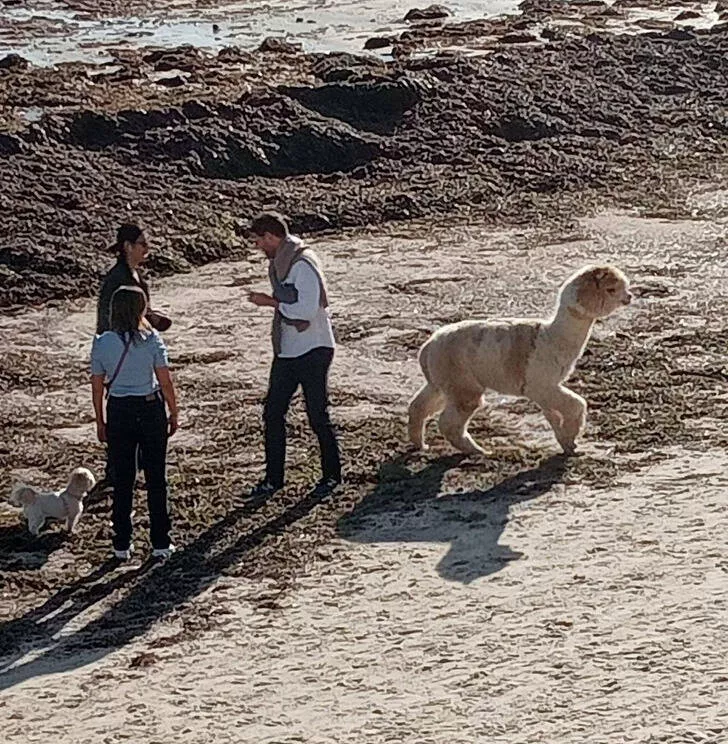 Rare things to see - #22 