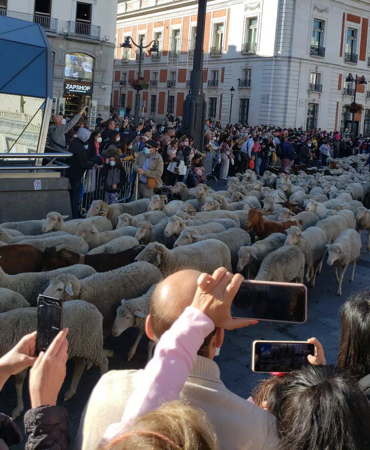 Rare things to see - #36 
