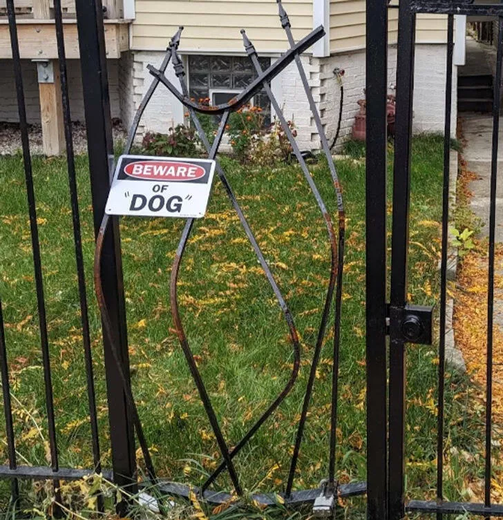 Rare things to see - #50 