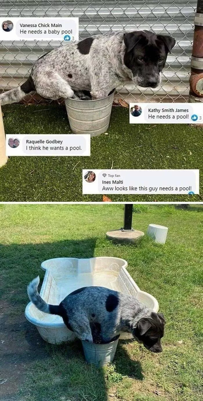 Picdump 756 - #12 Même avec la piscine 
