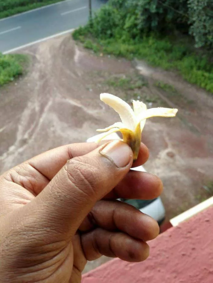 Picdump 756 - #19 Mini banane 