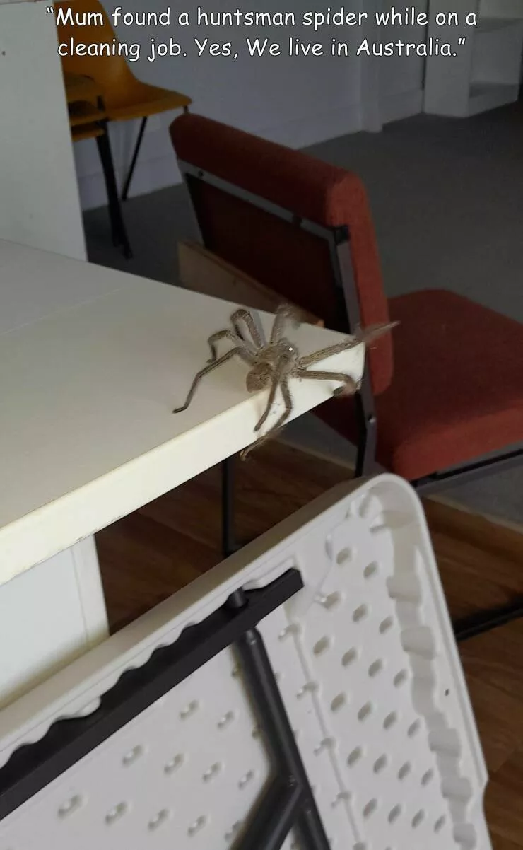 Picdump 757 - #24 Au voleur 