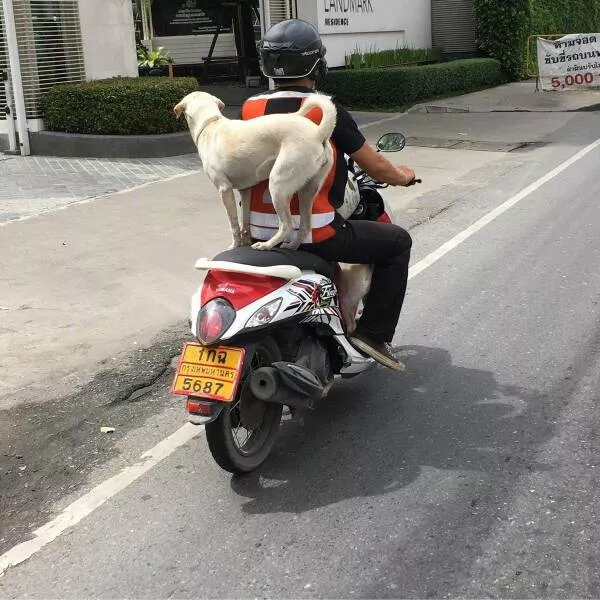 Picdump 757 - #32 