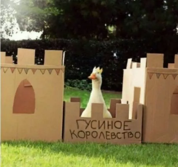 Picdump 759 - #12 