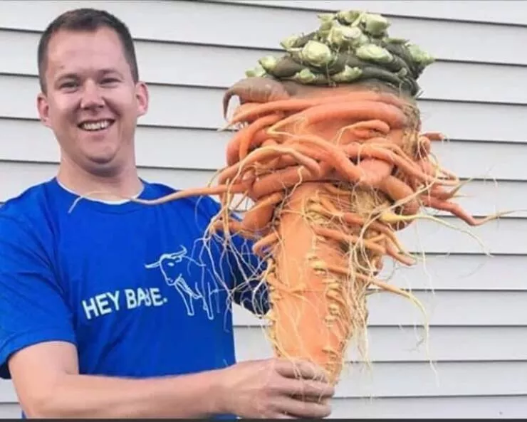 Picdump 759 - #17 The giant carrot