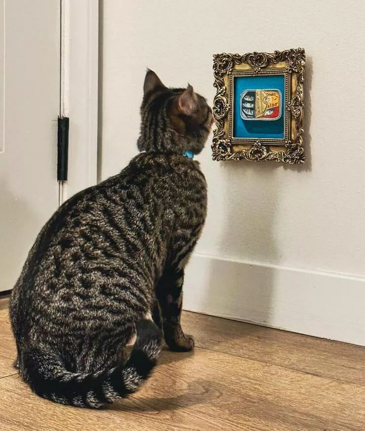 Picdump 759 - #32 Cat artist