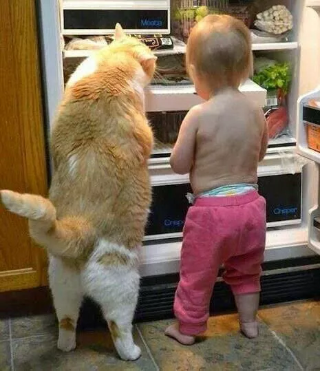 Picdump 760 - #14 