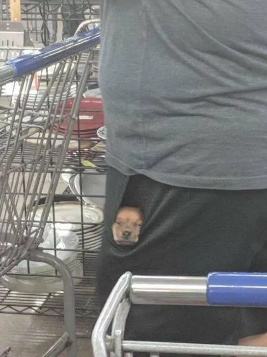 Picdump 760 - #17 