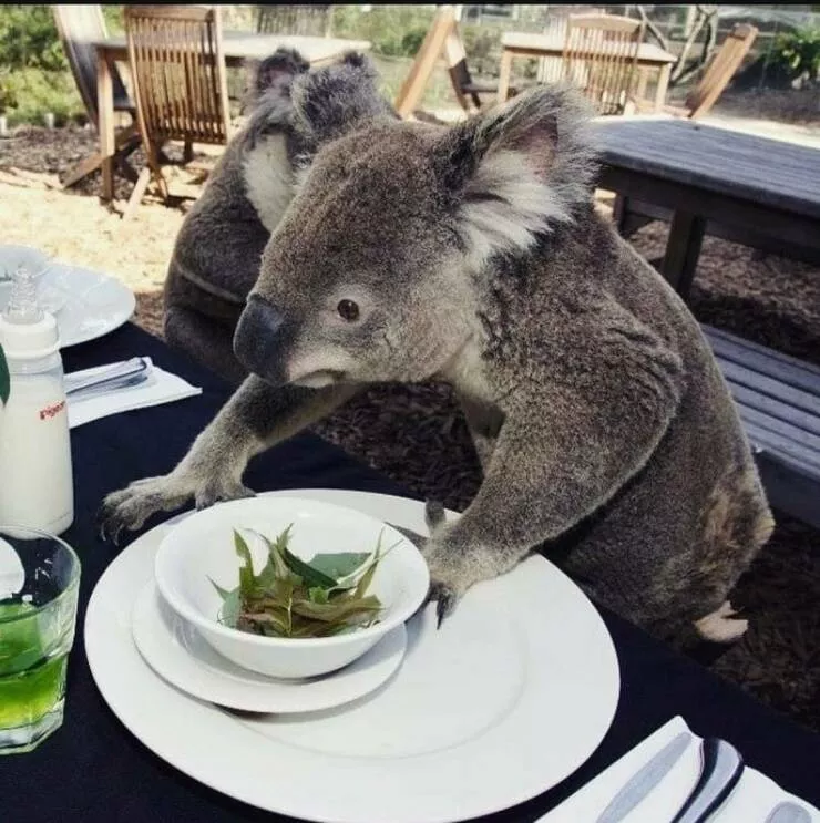 Picdump 760 - #18 