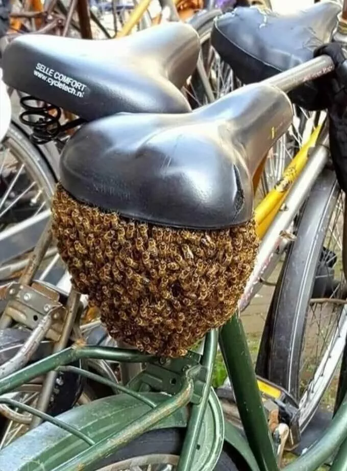 Picdump 760 - #35 