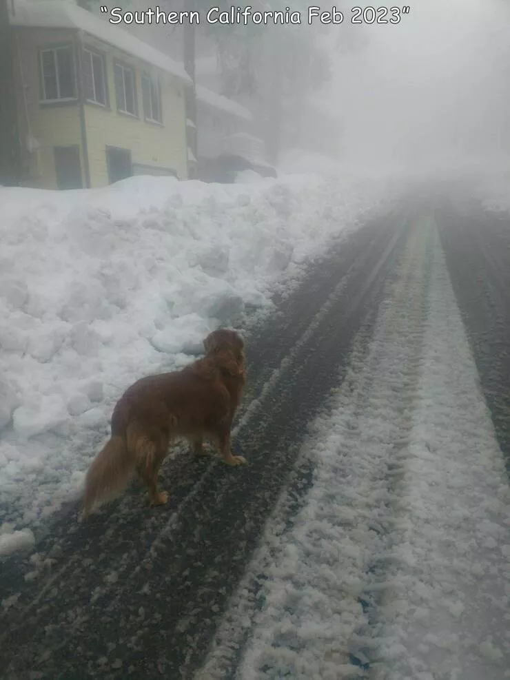 Picdump 761 - #24 