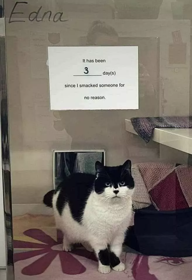 Picdump 761 - #30 