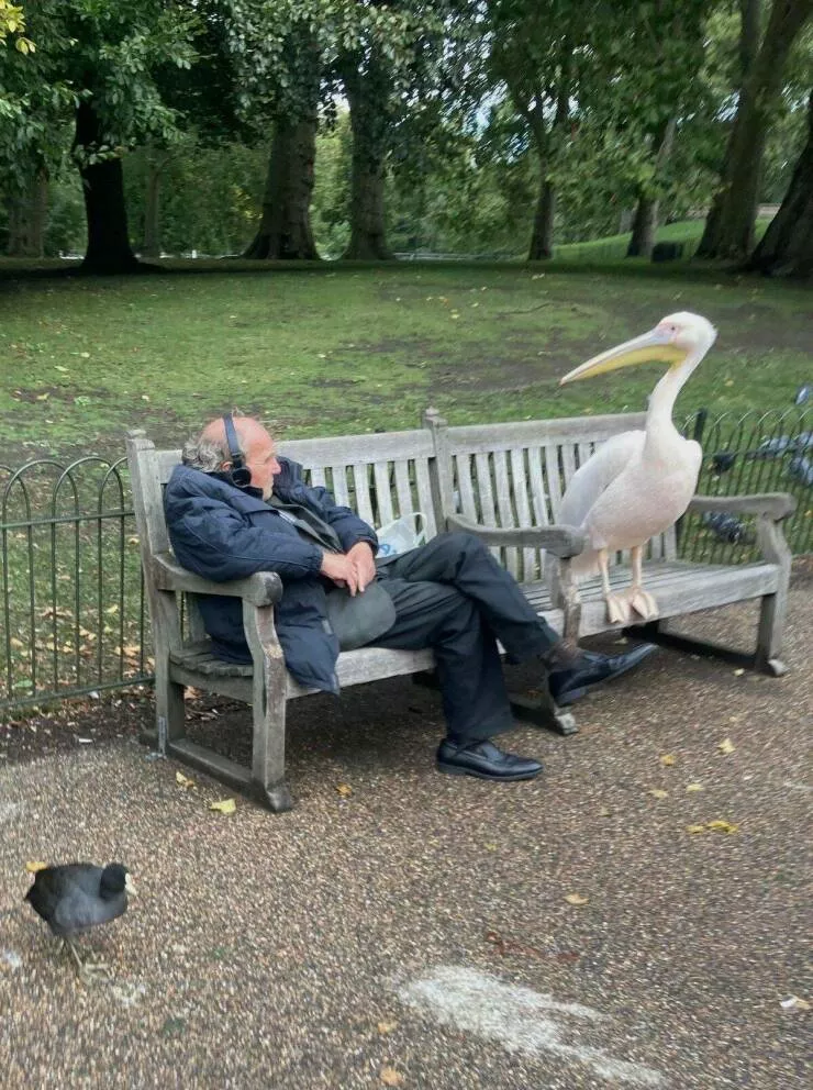 Picdump 761 - #49 