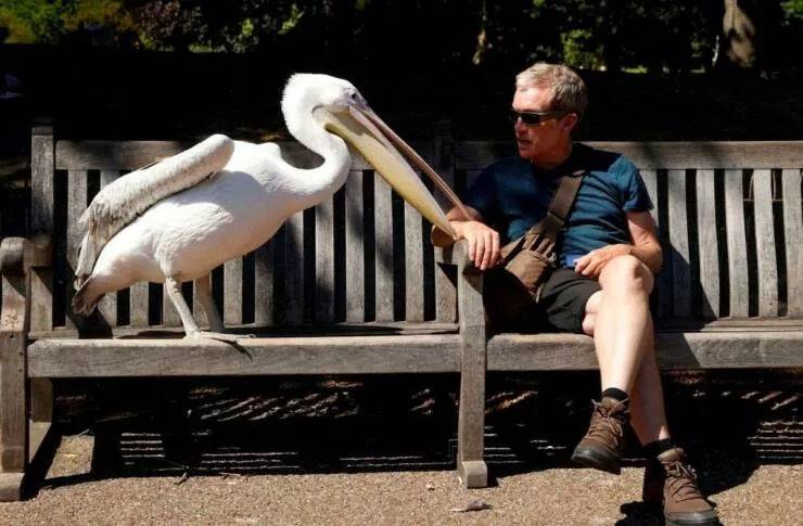 Picdump 761 - #7 Amitié 