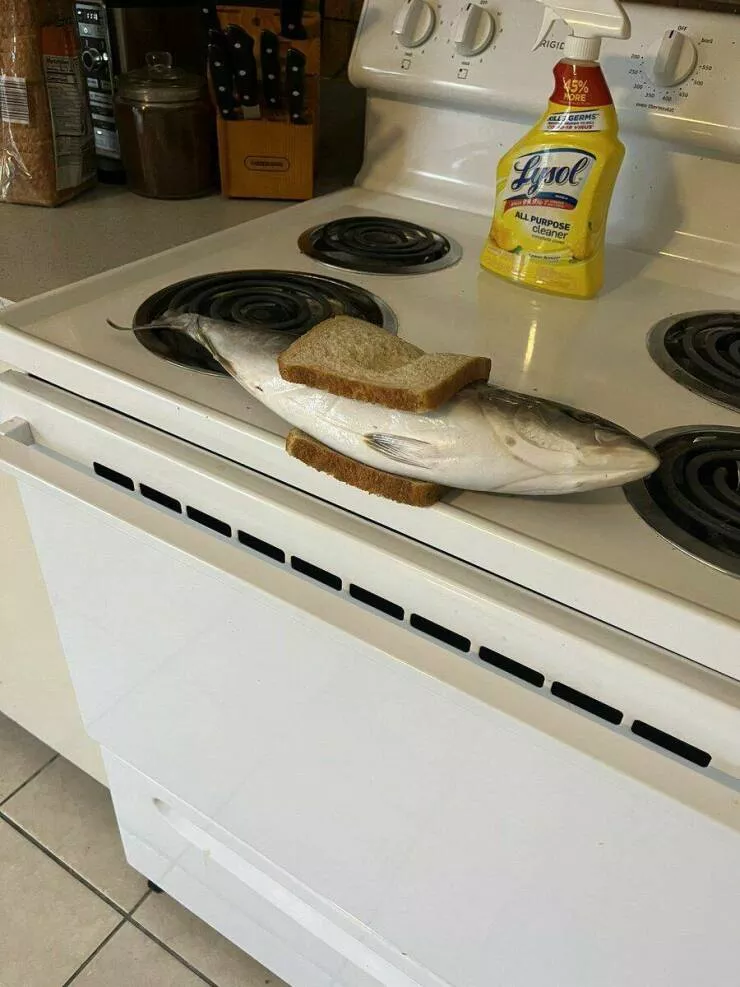 Picdump 762 - #17 Sandwich au poisson