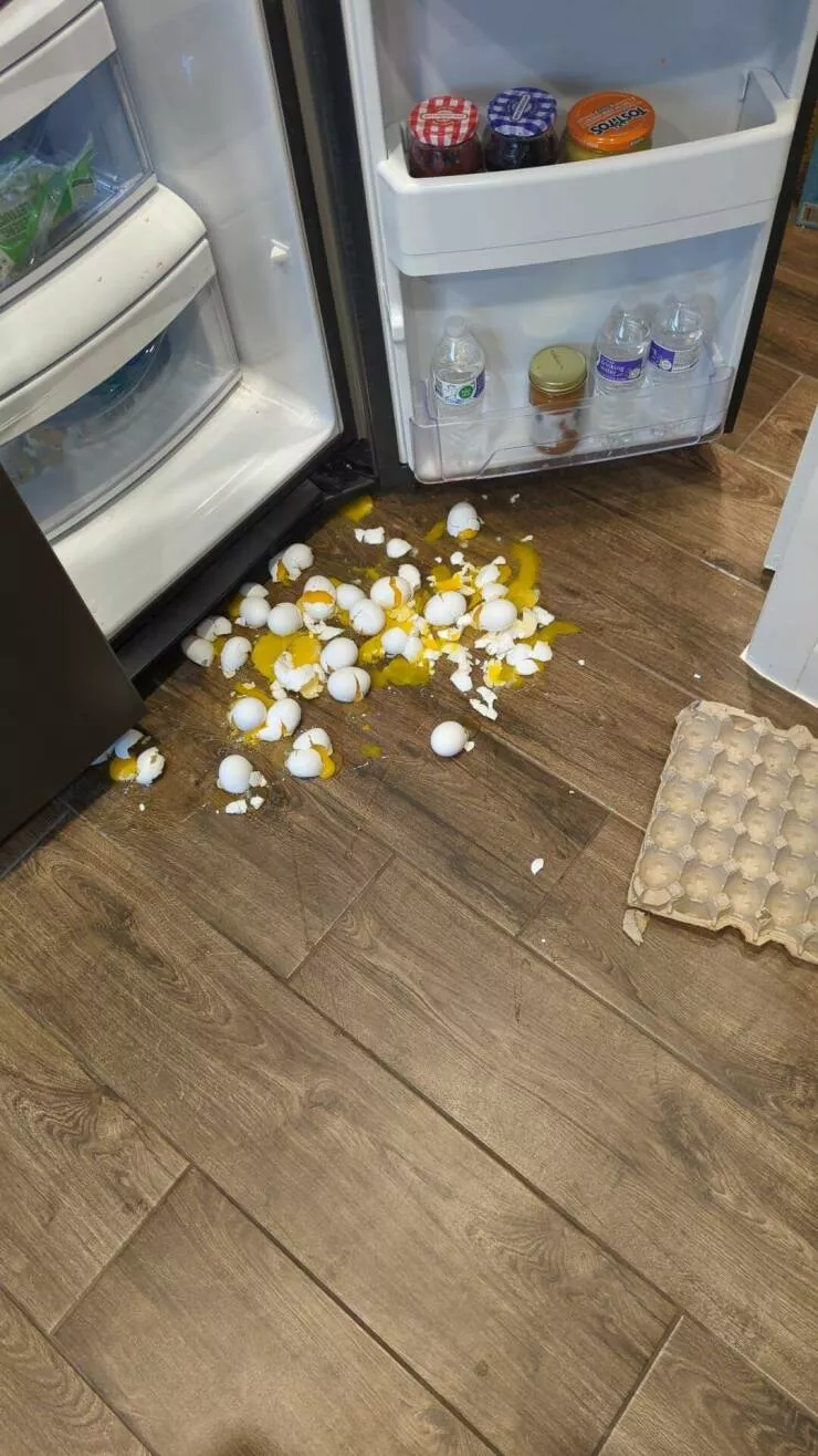 Picdump 762 - #44 Fail