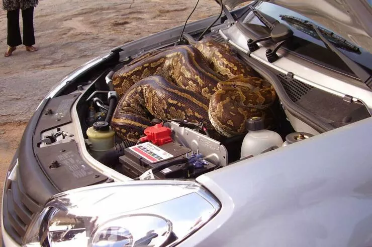 Picdump 763 - #36 What a find