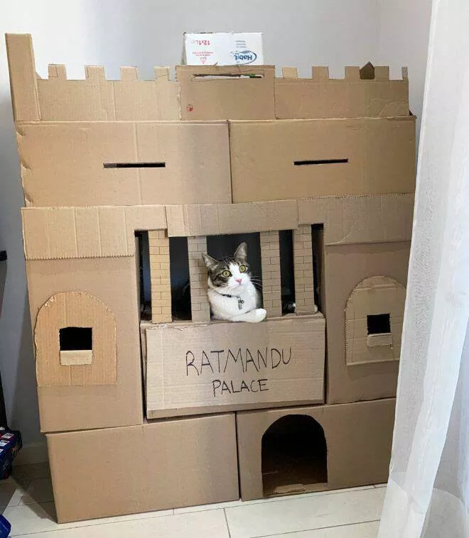 Picdump 763 - #51 