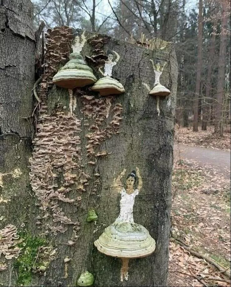 Picdump 763 - #53 