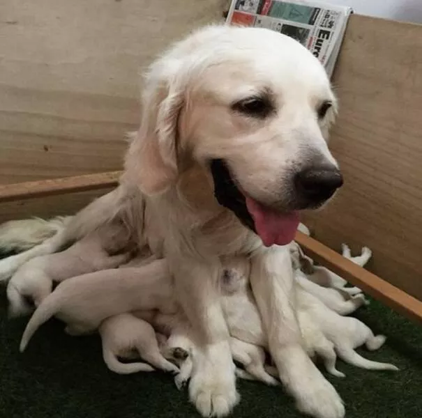 Picdump 764