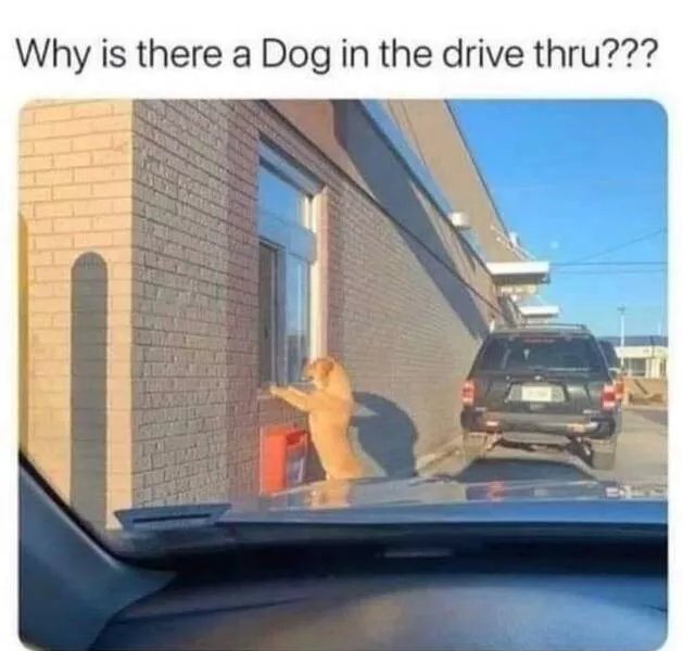 Picdump 764 - #57 