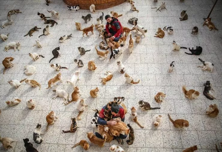 Picdump 767 - #40 