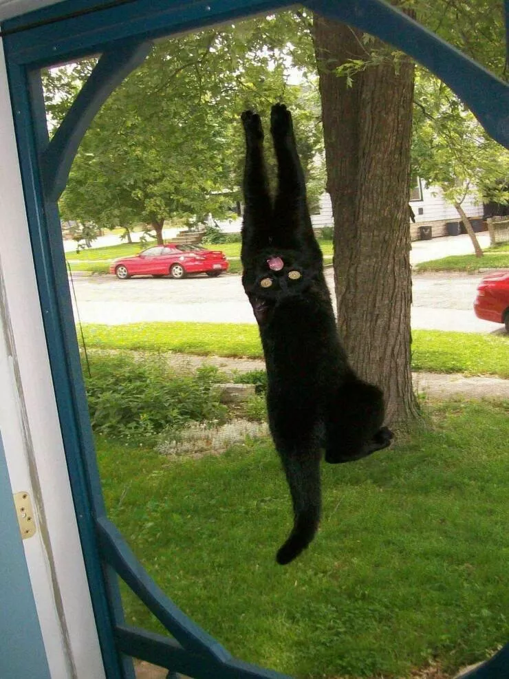 Picdump 767 - #43 