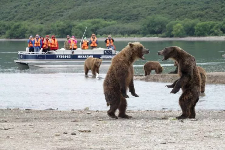 Picdump 768 - #23 