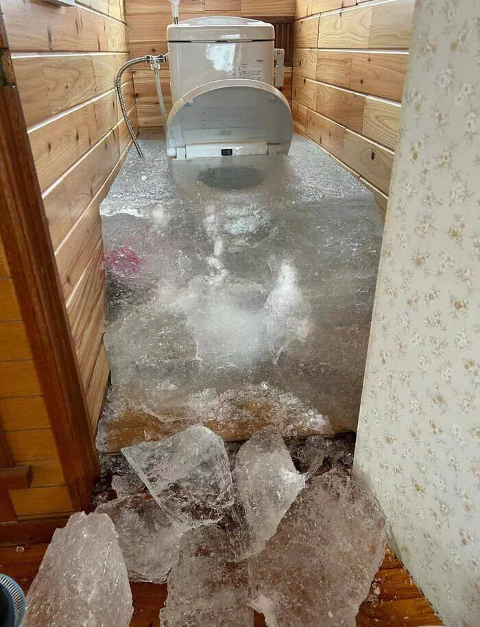 Picdump 768 - #37 