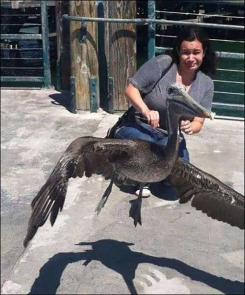 Look twice to better understand these images - #42 
