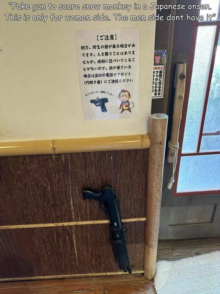 Picdump 770 - #10 