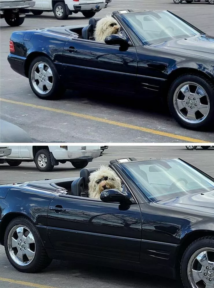 Picdump 770 - #29 