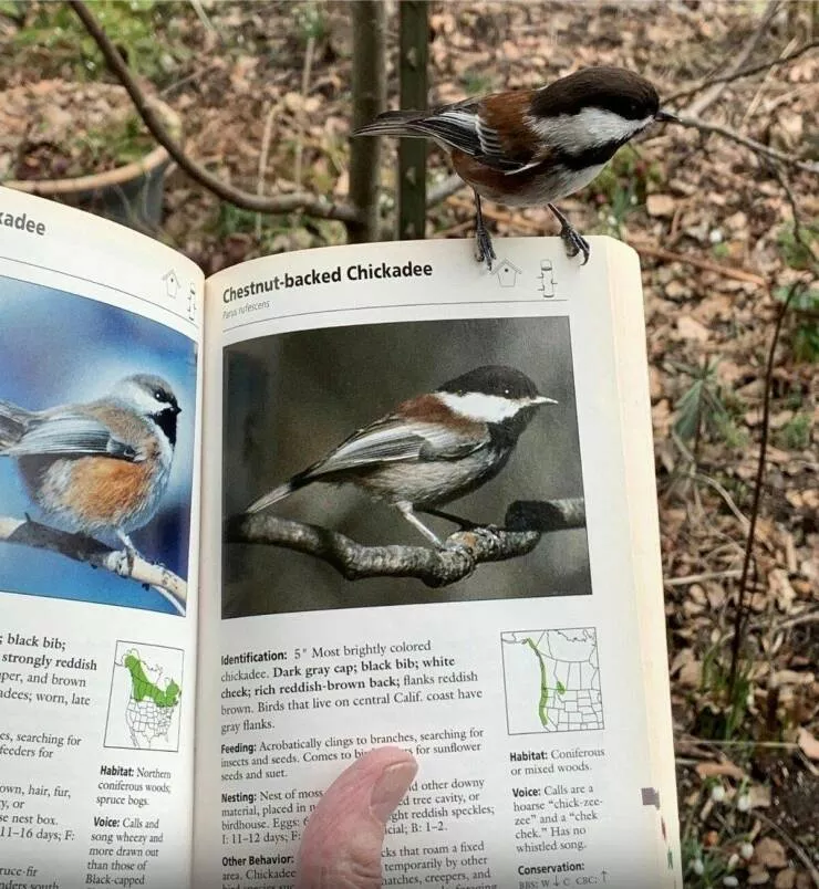 Picdump 770 - #52 