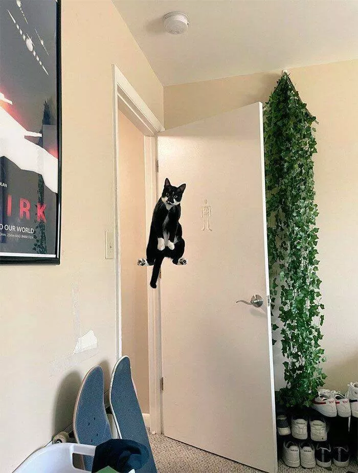 Picdump 770 - #9 