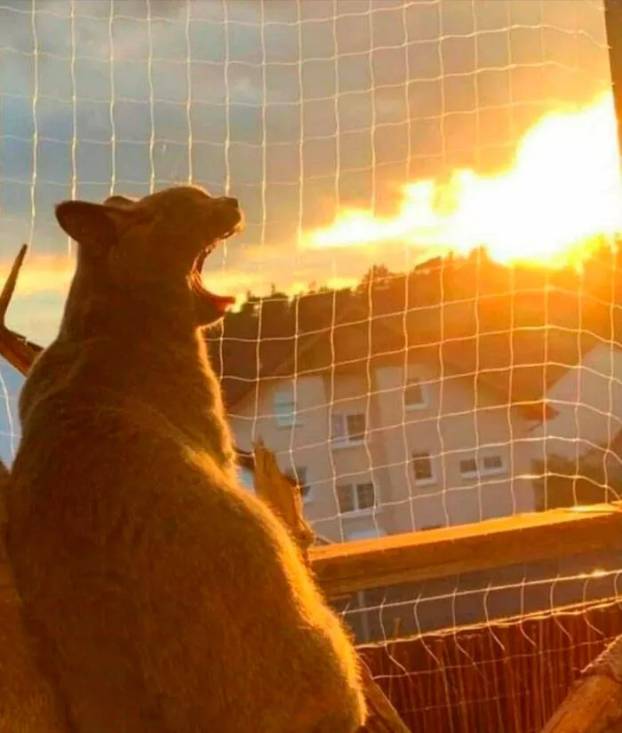 Photos so powerful they dont need words - #14 