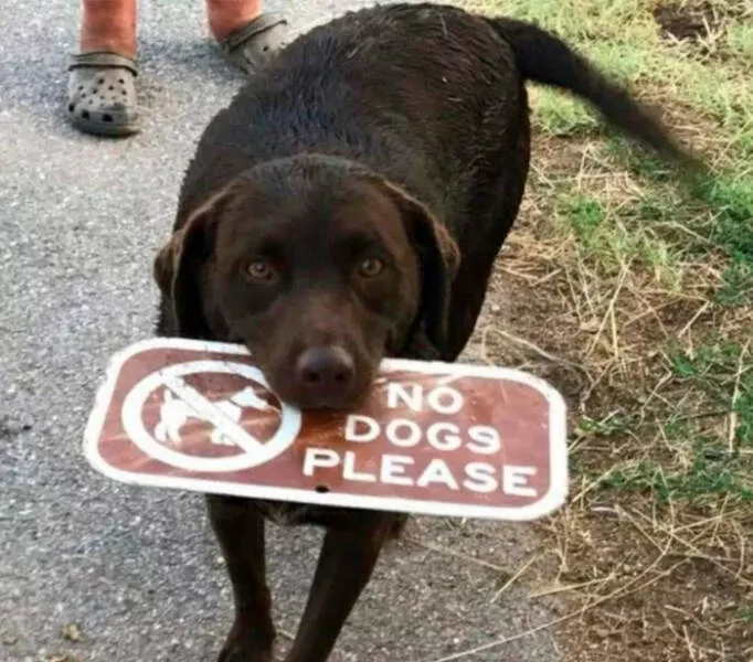 Photos so powerful they dont need words - #15 
