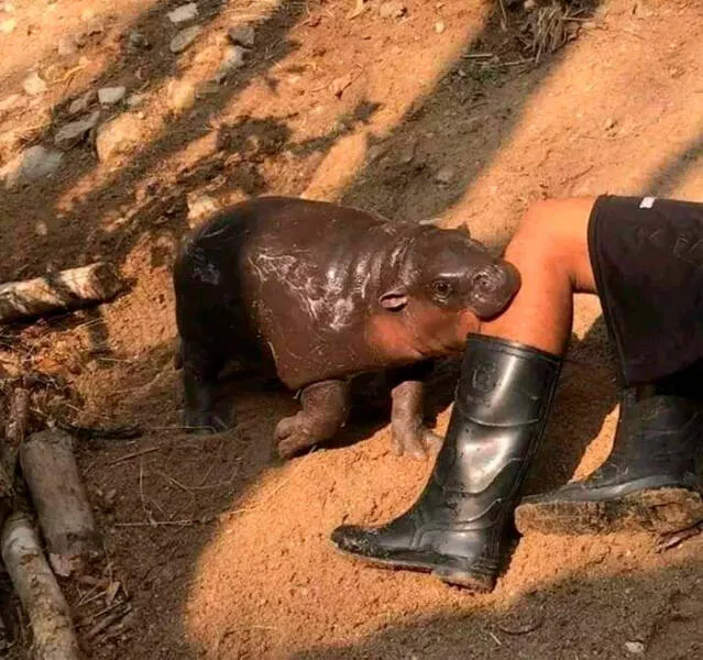Photos so powerful they dont need words - #17 