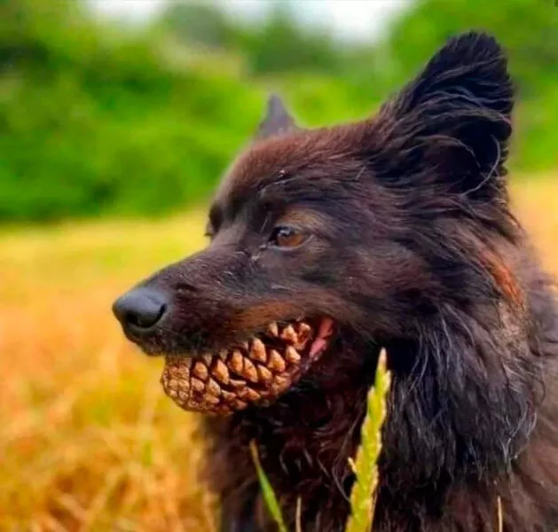Photos so powerful they dont need words - #19 