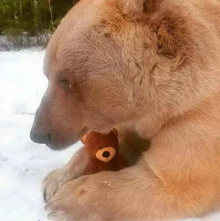 Photos so powerful they dont need words - #2 