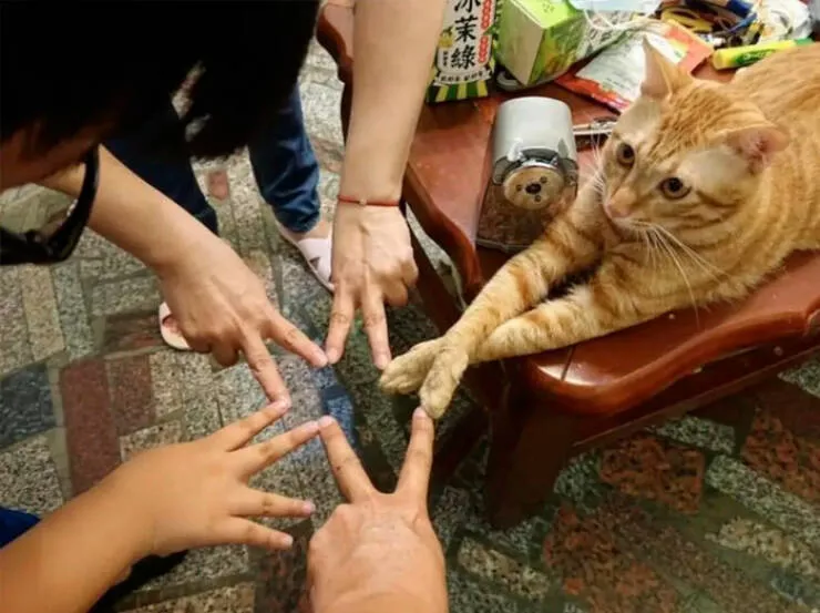 Photos so powerful they dont need words - #22 