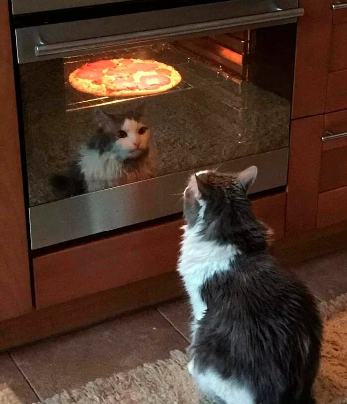 Photos so powerful they dont need words - #26 