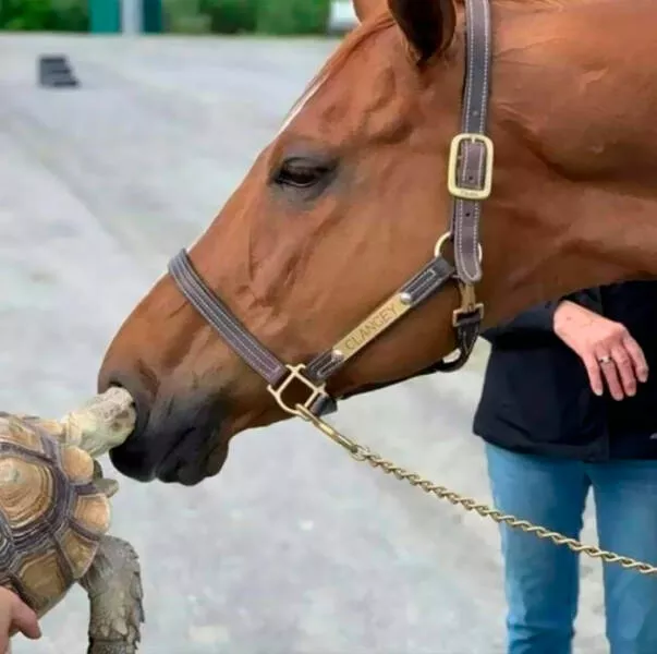 Photos so powerful they dont need words - #41 