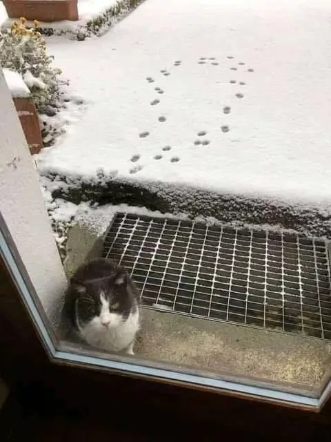 Picdump 771 - #19 