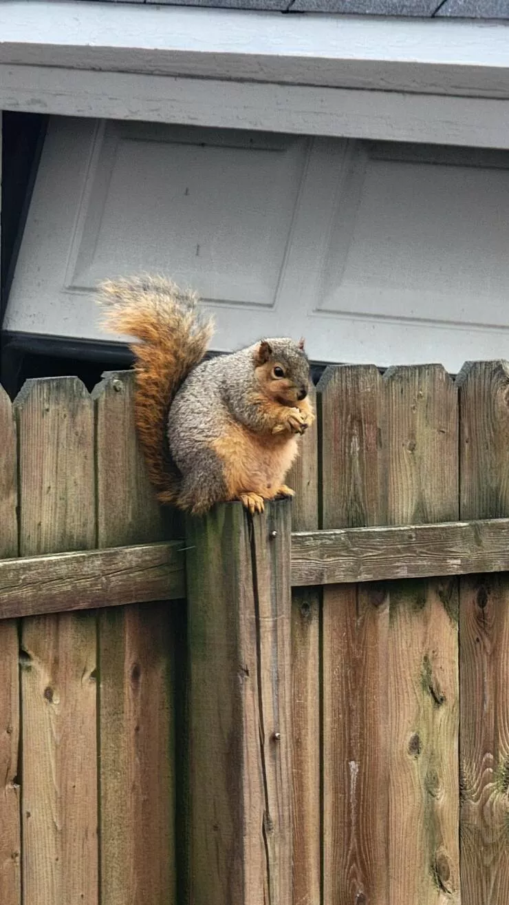 Picdump 771