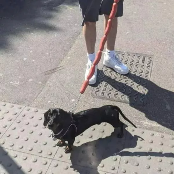 Picdump 773 - #28 