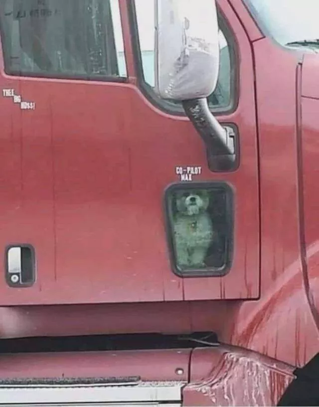 Picdump 774 - #12 