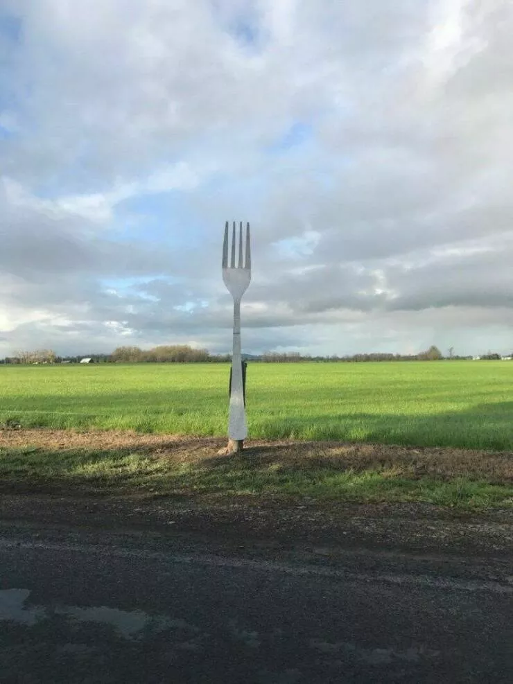 Picdump 774 - #35 