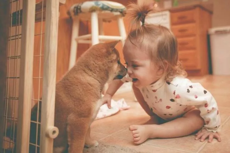 Picdump 774 - #4 