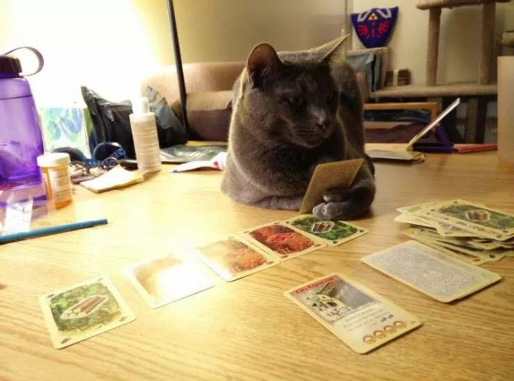 Picdump 774 - #43 
